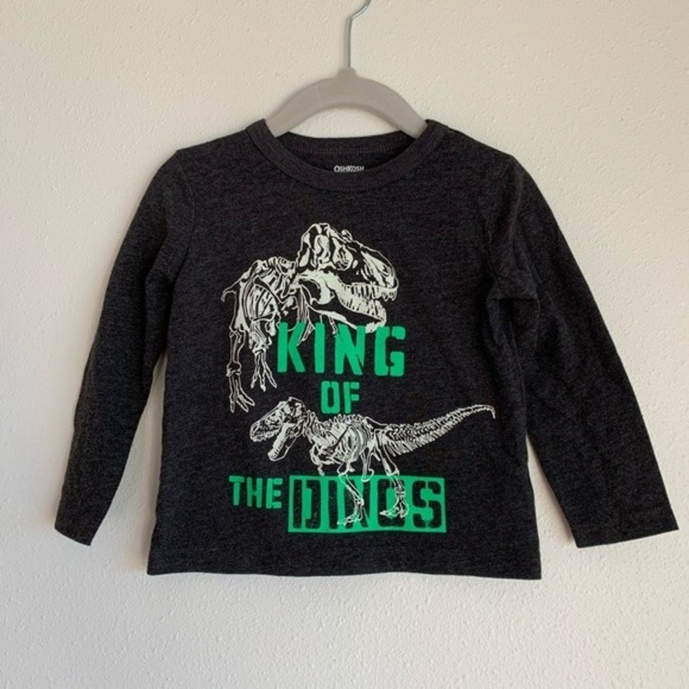 Toddler Boy Long Sleeve | 18 MO